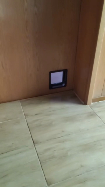 socke0  07-08-2021 Recorded Video Porn